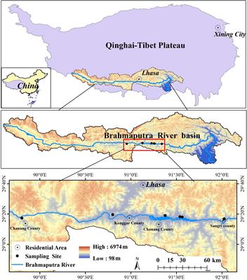 Evaluating the impact of different afforestation timescales on the soil quality in a typical watershed valley using the criteria importance through intercriteria correlation method and gray target model